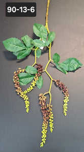 Ramură decorativă artificială cu ciorchini verzi cu maro - 75cm